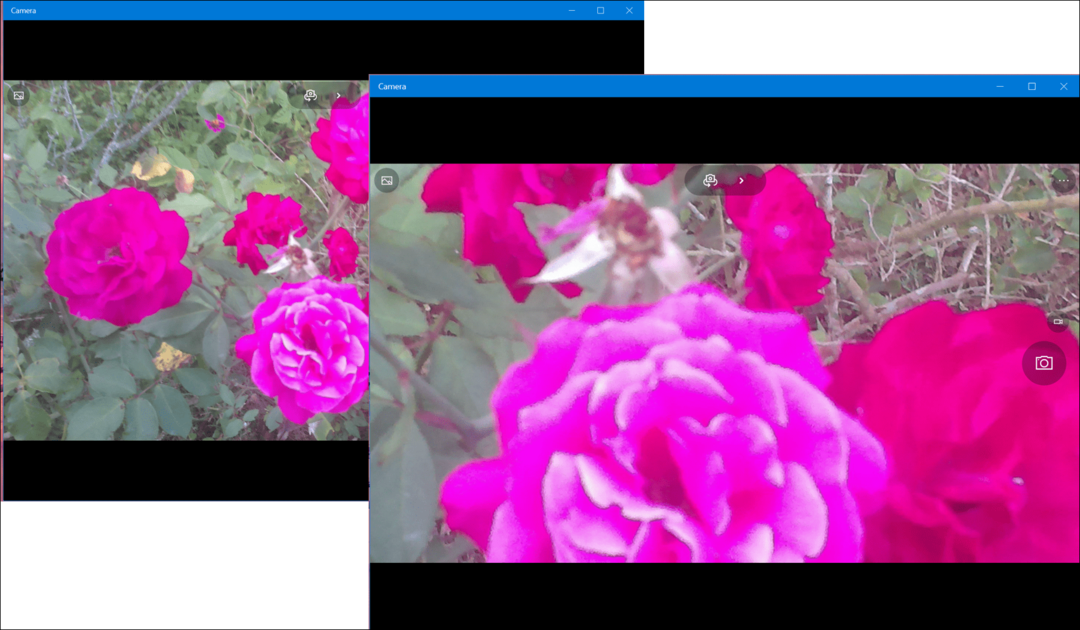 Windows 10 -vinkki: Ota kuvia ja ota itseisarvoja kamerasovelluksella