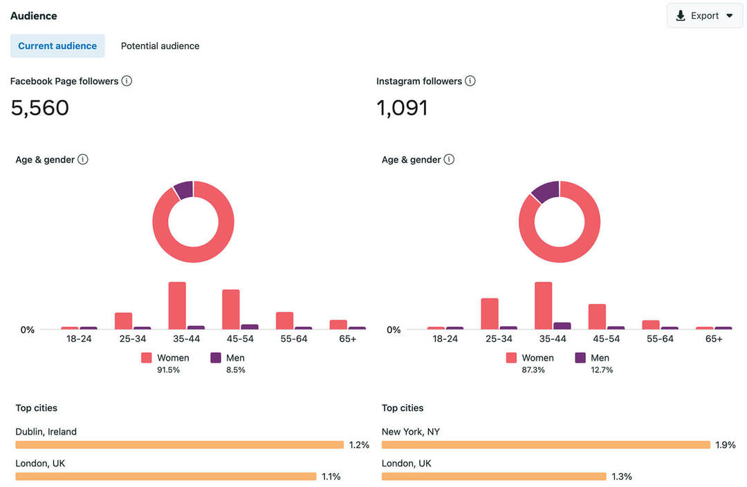 miten-vuotuinen-sosiaalisen median-tarkastus-tarkistaa-yleisömetrit-business-suite-demographics-locations-facebook-pages-instagram-tilit-esimerkki-7