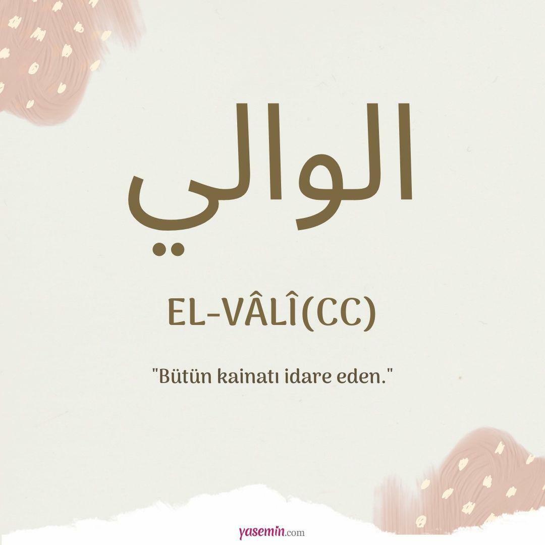 Mitä al-Vali (c.c) tarkoittaa?