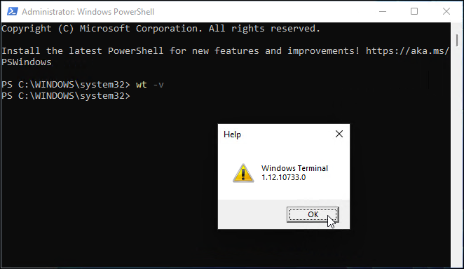 Windows terminaalin versio