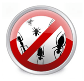 Asenna virustorjunta squash-virheiden ja nasy-viruskoodin löytämiseksi!