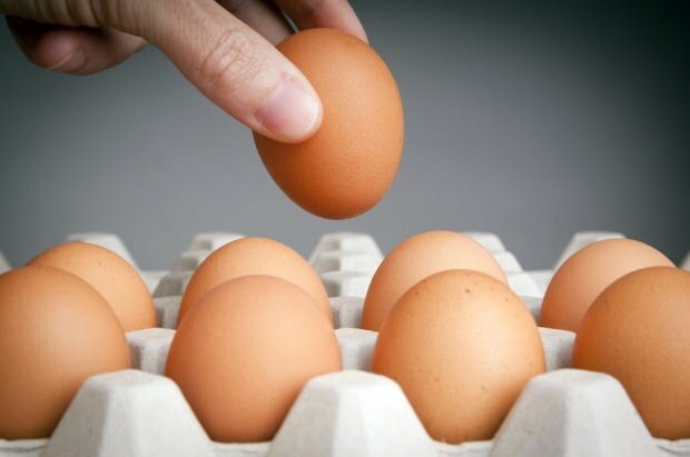 Käytännön neuvoja munien pitämiseksi tuoreina