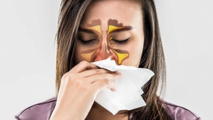 Mikä on allergia? Mitkä ovat allergisen nuhan oireet? Kuinka monta tyyppiä allergioita on? 