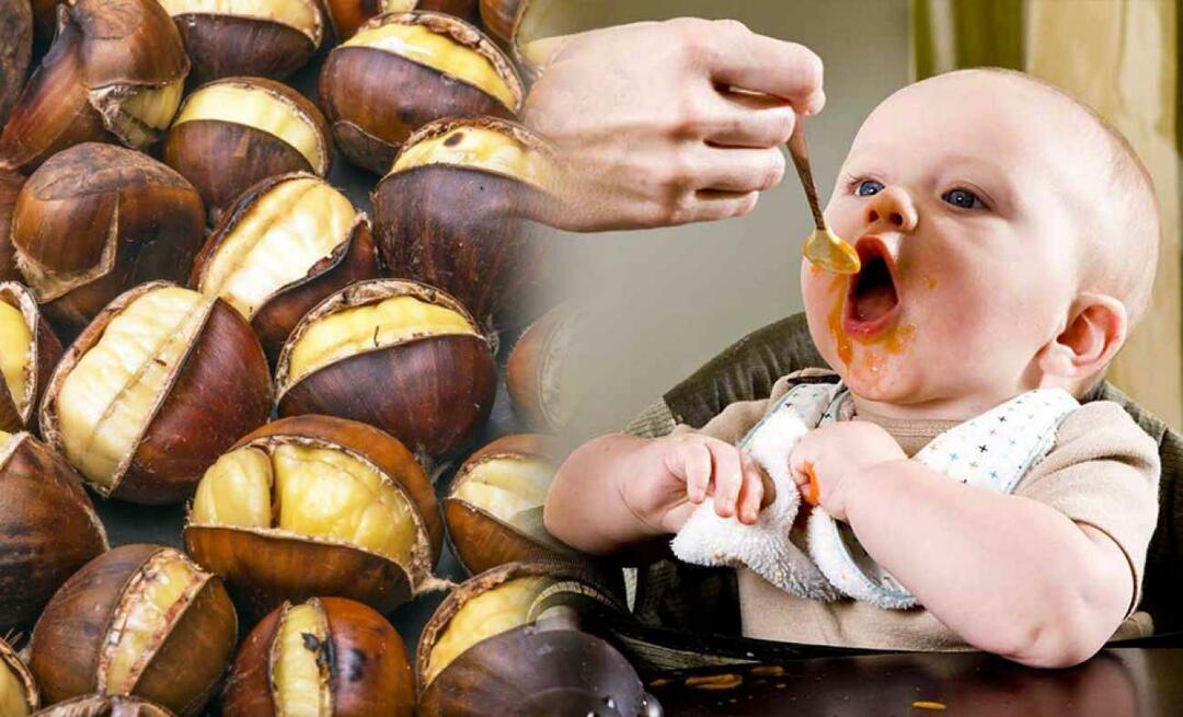 Voivatko vauvat syödä kastanjoita? Kuinka tehdä kastanjavanukas?