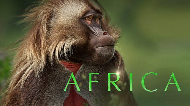 Afrikka / Afrikka (2013)