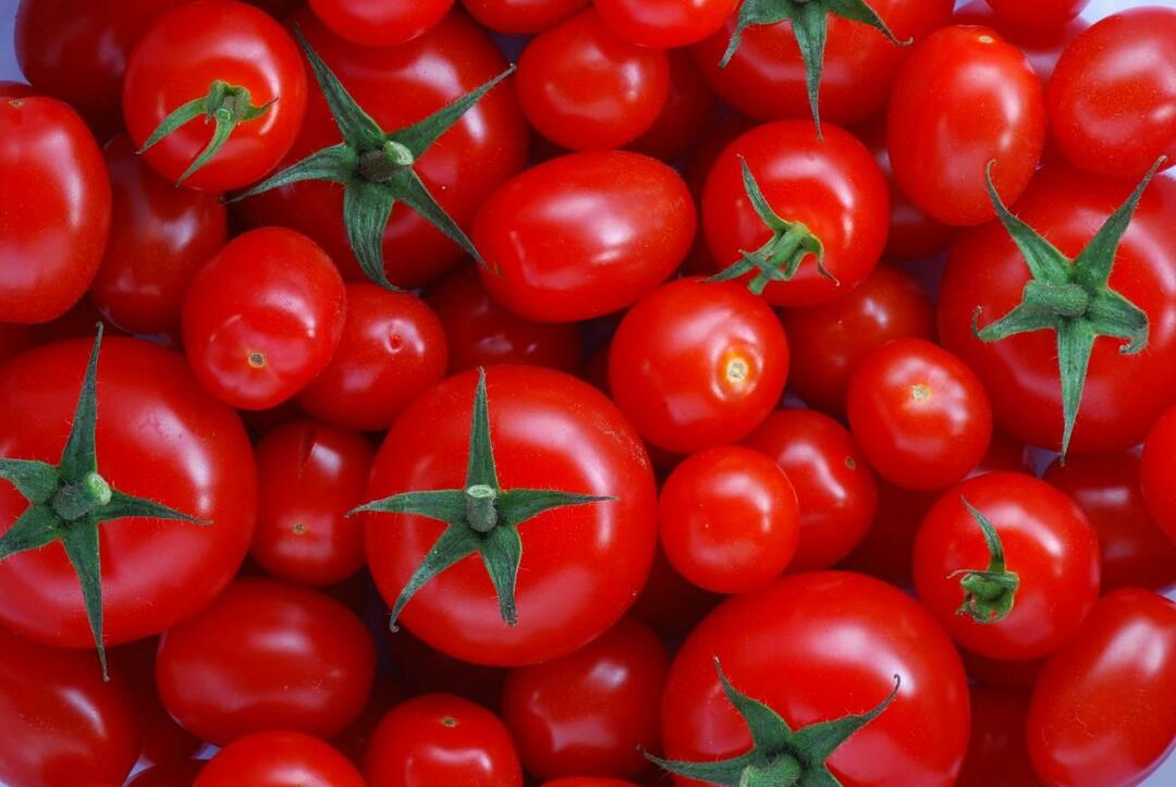 Kuinka valita menemenlik-tomaatteja