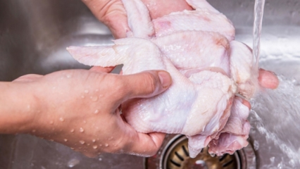 Kuinka kana tulisi puhdistaa? 