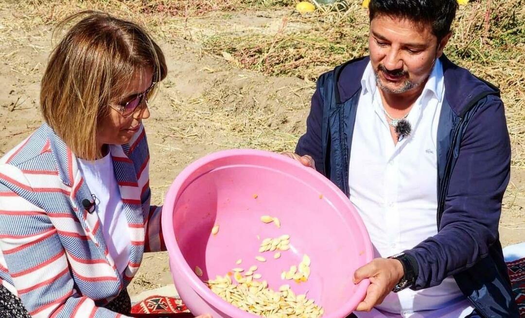 Nevşehirissä korjattiin kurpitsan siemeniä välipaloiksi!