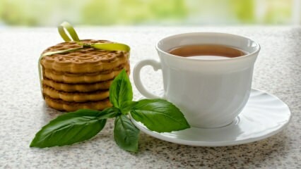 Mitä hyötyä basilikasta on? Kuinka tehdä basilikan teetä?