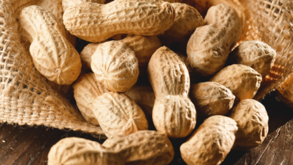 Mitä hyötyä maapähkinöistä on? Mihin sairauksiin maapähkinät ovat hyviä?