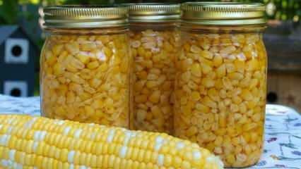 Miten maissi säilytetään? Helpoimmat maissin säilytystavat! Talvimaissin valmistus
