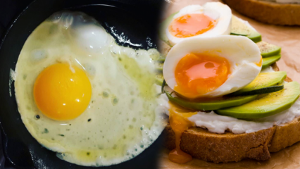 Mitkä öljyt ovat hyödyllisiä terveydellemme? Jos kulutat munaa alikeitetyn ...