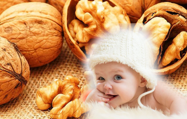 saksanpähkinät hyödyttävät vauvoja