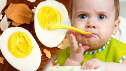 Kuinka munankeltuaiset tulisi antaa vauvoille? Kuinka monta kuukautta muna aloitetaan? Vauvamunan resepti