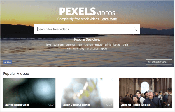 Pexels tarjoaa ilmaisen varastovideon, jota voit käyttää LinkedIn-videomainoksissasi.