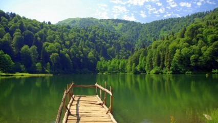 Trabzon elvyttää matkailua laventelipuutarhoilla!