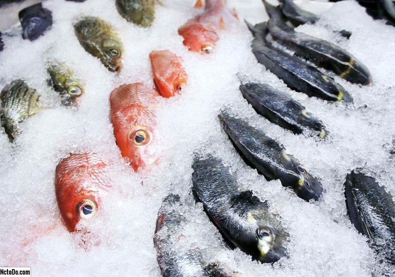 Kuinka säilyttää kalaa pakastimessa