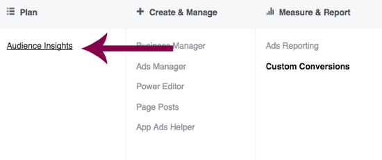 Siirry Facebook Ads Managerin Yleisötietoihin.