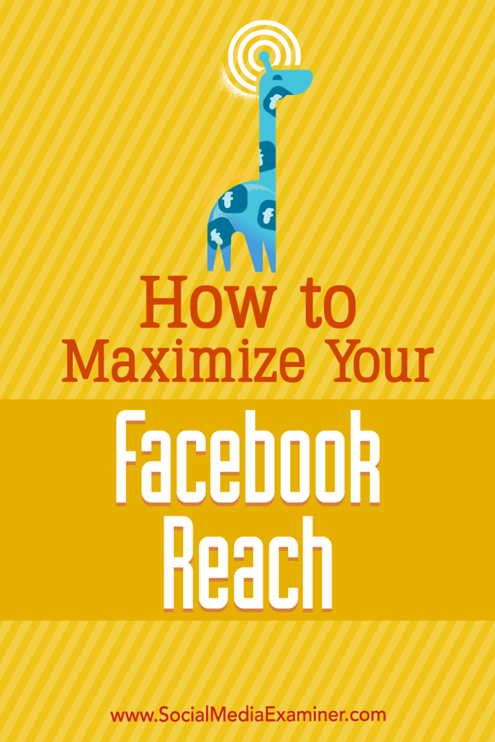 Kuinka maksimoida Facebook-saavutuksesi: Sosiaalisen median tutkija