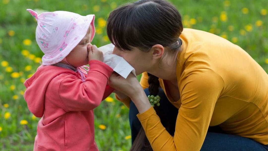 Mitä eroa on kausiluontoisten allergioiden ja lasten vilustumisen välillä?