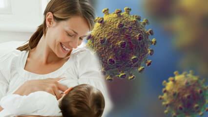 Onko koronavirus siirtynyt maidosta vauvaan? Huomiota odottaville äideille pandemian aikana! 