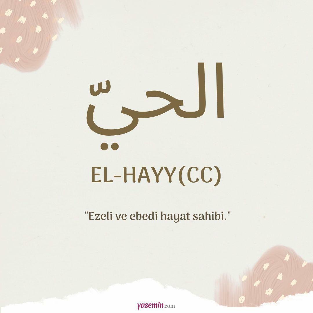 Mitä al-Hayy (c.c) tarkoittaa?