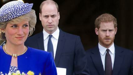 Syytä prinssejä BBC: lle... Prinssi William: Tuo haastattelu hajosi perheemme!