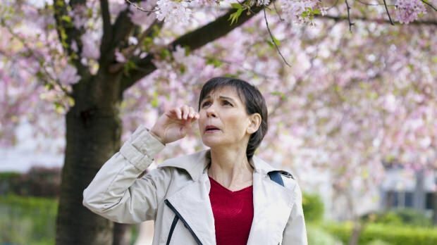 Mikä on kevätallergia? Mitkä ovat kevään allergian oireet? Kuinka välttää kevätallergia?