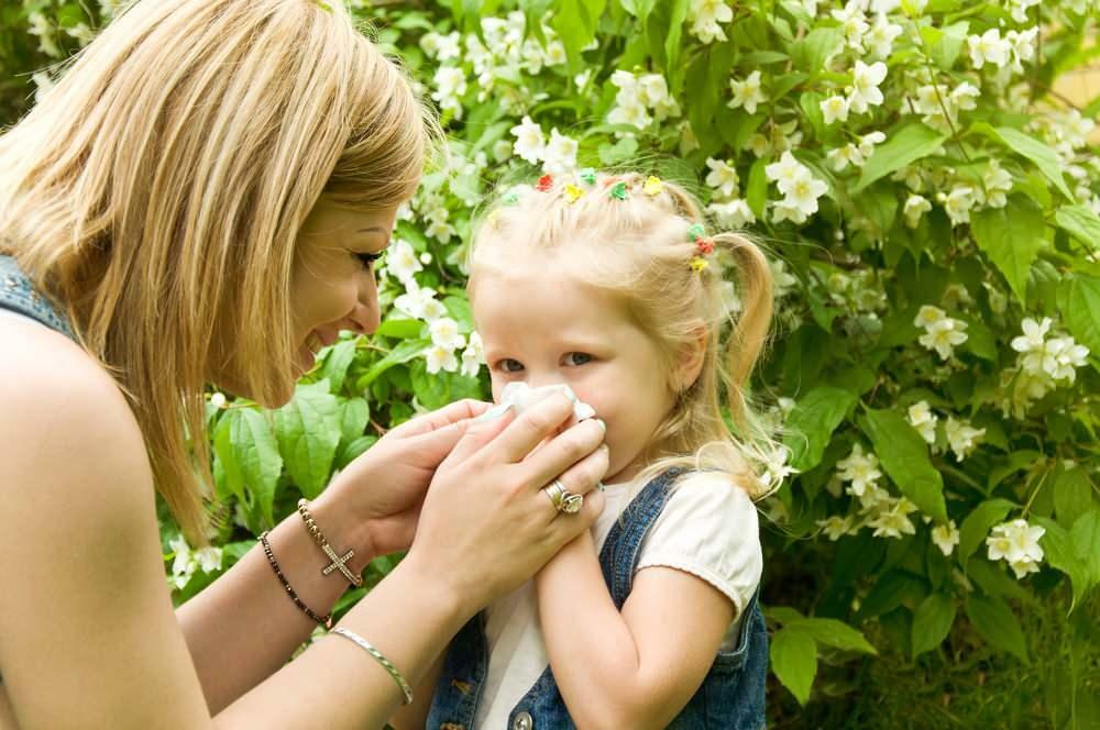 Mikä on hyvä lasten kausi-allergioille?