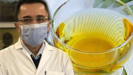 Ihmeetee virusta vastaan: Mitkä ovat oliivilehtien teiden edut? Oliivilehtien valmistaminen