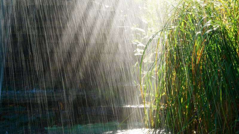 Rukous, joka luetaan sadevedelle! Onko huhtikuun sade parantavaa? Huhtikuun sateen edut