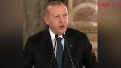 Presidentti Erdoğan: Taiteilijat, jotka kaatoivat poliittisen puolensa poleemiaan, järkyttivät meitä