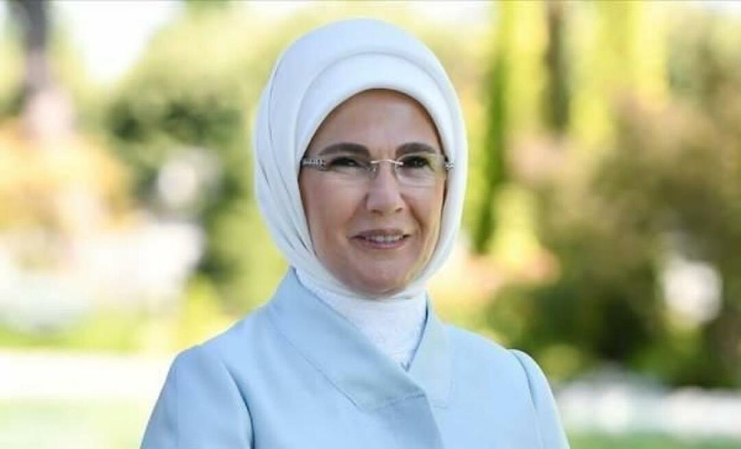 Van-järven jakaminen Emine Erdoğanilta: 