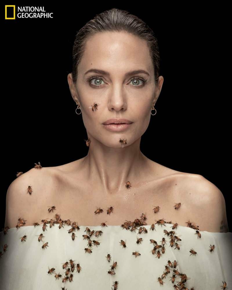 Angelina Jolie linssissä mehiläisten kanssa mehiläisille!