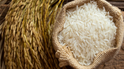 Kuinka riisin paras osa ymmärretään? 
