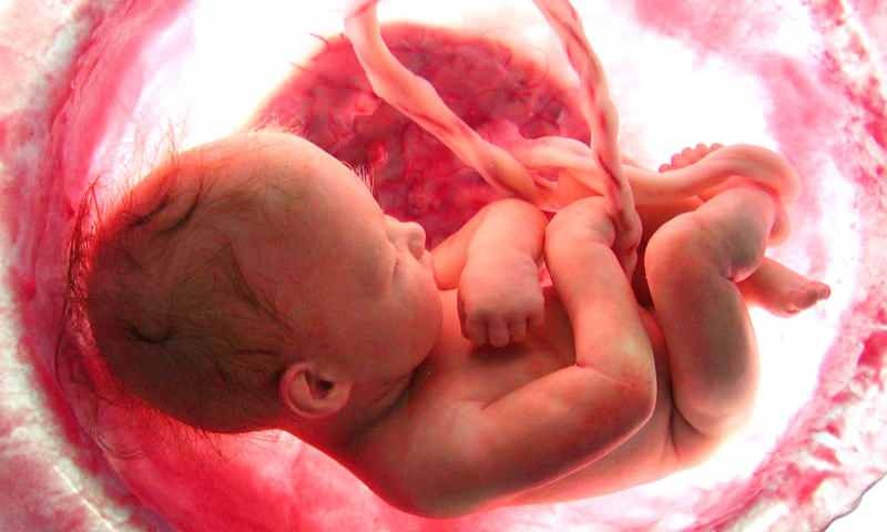 Mikä on vauvan muodostuminen kohdussa? Askel askeleelta syntymän prosessi