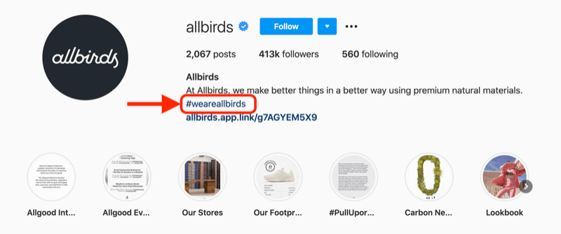 esimerkki yrityksen hashtagista, joka sisältyy @allbirds instagram-tilin profiilikuvaukseen
