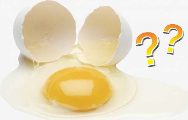 Olipa munankeltuainen tai valkoinen on hyödyllistä
