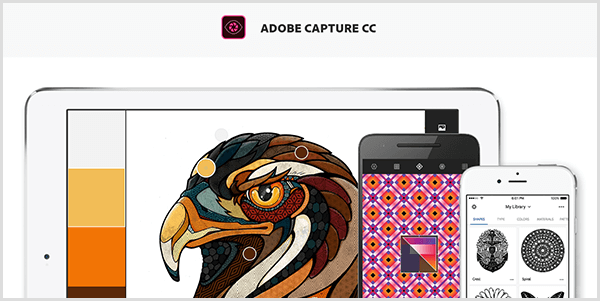Adobe Capture luo paletin mobiililaitteella kaapatusta kuvasta. Sivustolla on lintukuva ja kuvasta luotu paletti, joka sisältää vaaleanharmaa, keltainen, oranssi ja punaruskea.