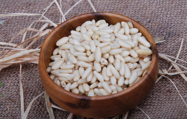 Mitkä ovat männynpähkinöiden ravintoarvot? Mitä hyötyä on pinjansiemenistä?