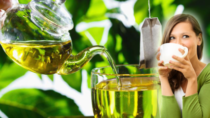Voivatko raskaana olevat naiset juoda vihreää teetä? Vihreän teen ja laihdutusmenetelmän edut