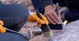 Löytö, joka muuttaa historian kulun: Arkeologit löysivät maailman vanhimman puurakenteen