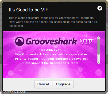 Groovesharkin VIP-tilin edut