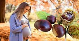 Voivatko raskaana olevat naiset syödä kastanjoita? Kastanjoiden syömisen edut raskauden aikana vauvalle ja äidille