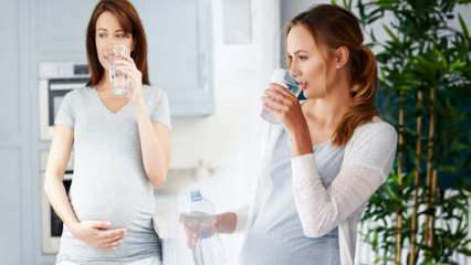 Juomaveden edut raskaana oleville naisille! Kuinka paljon vettä tulisi käyttää päivässä raskauden aikana? 