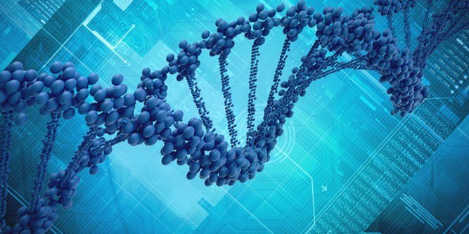 Meikkimateriaalit pilaavat DNA: ta!
