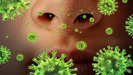 Uudelleen ilmaantuva: Mikä on Sars-virus ja mitkä ovat sen oireet? Kuinka Sars-virus tarttuu?