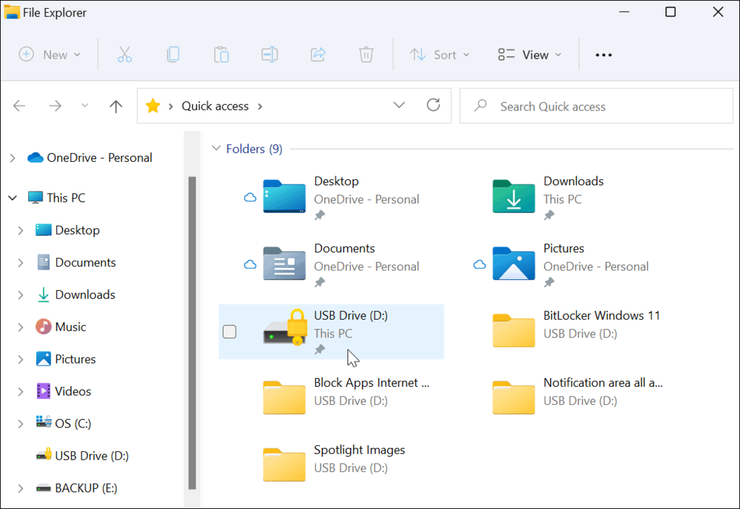 Salausaseman kuvake File Explorer