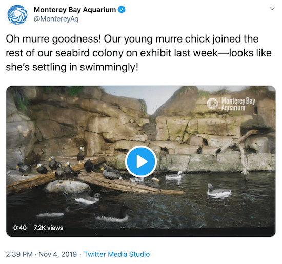 twiitti Monterey Bayn akvaariosta esimerkkinä brändin sosiaalisen median äänestä