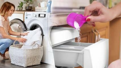 Mikä on paras pesuaine valkoisille? Parhaat pyykinpesuainesuositukset! Paras jauhemainen pesuaine